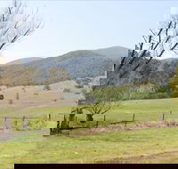 Banimboola Creek Rest Area - Accommodation Rockhampton