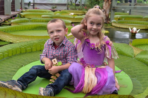 Blue Lotus Water Garden - Accommodation Rockhampton 2