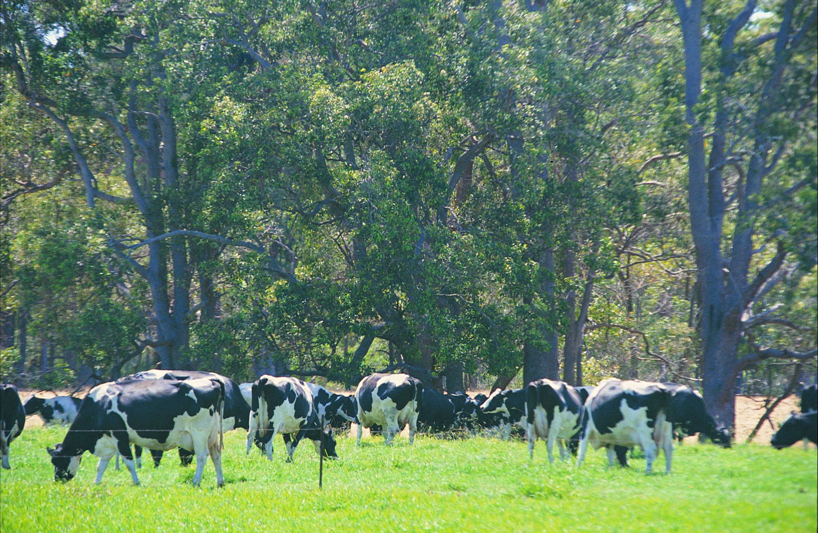 Stratham WA Accommodation Rockhampton