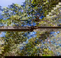 Bribie Island Bicentennial Trails - Accommodation Rockhampton