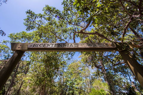 Bribie Island Bicentennial Trails - Accommodation Rockhampton 0