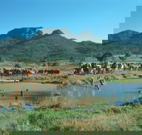 Bundaberg- Biggenden- Mount Perry Circle - Accommodation Rockhampton