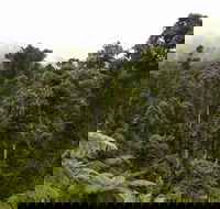 Cascade National Park - Accommodation Rockhampton