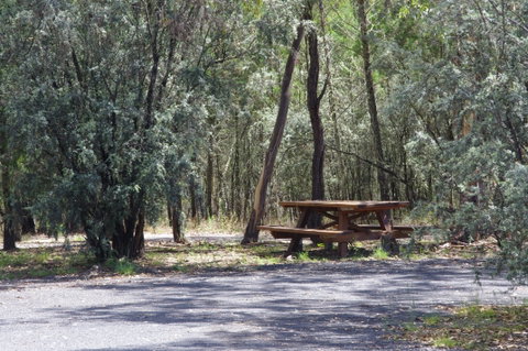 Goonoowigall State Conservation Area - Accommodation Rockhampton 0