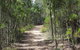 Goonoowigall State Conservation Area - thumb 1