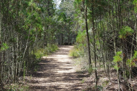 Goonoowigall State Conservation Area - Accommodation Rockhampton 1