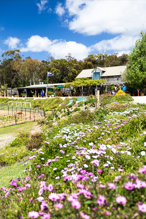 Kate's Berry Farm - Accommodation Rockhampton 0