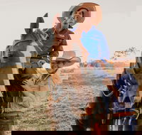 Katherine Outback Experience - Horse Riding Experience - Accommodation Rockhampton