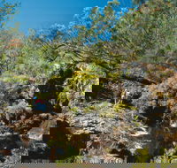 Kroombit Tops National Park - Accommodation Rockhampton