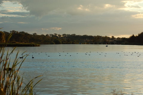 Lake Inverell Reserve - Accommodation Rockhampton 0