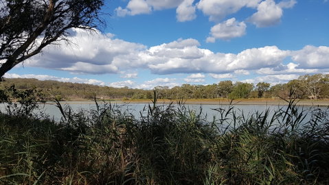 Lake Inverell Reserve - Accommodation Rockhampton 1