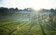 Leeton - thumb 1