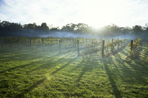 Leeton - Accommodation Rockhampton 1