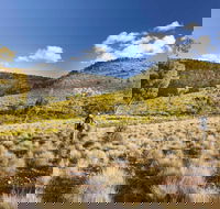 Little Mountain Walking Track - Accommodation Rockhampton
