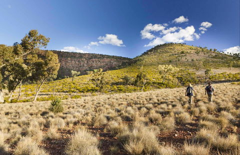 Little Mountain Walking Track - Accommodation Rockhampton 0