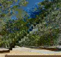 Maidens Tuart Forest - Accommodation Rockhampton