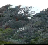 Mount Yarrowyck Nature Reserve - Accommodation Rockhampton