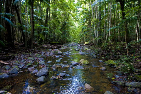 Nambucca Valley - Accommodation Rockhampton 0