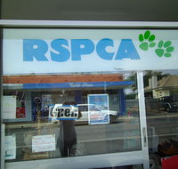R.S.P.C.A Opportunity Shop - Accommodation Rockhampton