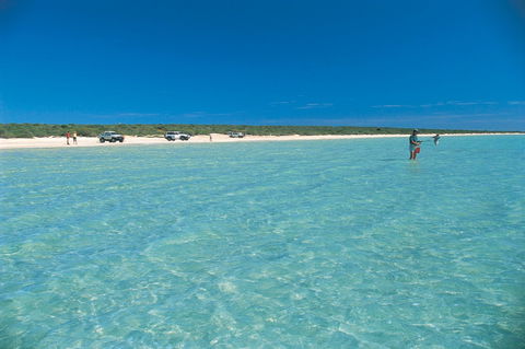 Shark Bay World Heritage Drive - Accommodation Rockhampton 1