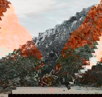 Simpsons Gap - Accommodation Rockhampton