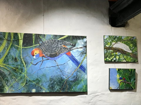 The Coach House Studio - Accommodation Rockhampton 2