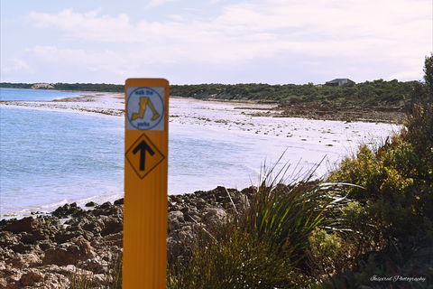Walk The Yorke Trail - Accommodation Rockhampton 2