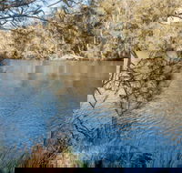 Wandandian Creek picnic area - Accommodation Rockhampton