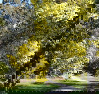 Wattle Park - Accommodation Rockhampton