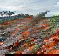 Western Ridge Walk - Accommodation Rockhampton