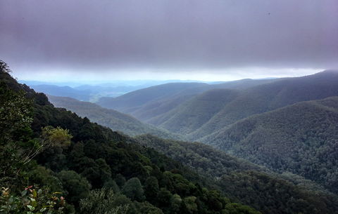 Barrington Tops State Forest - Accommodation Rockhampton 2