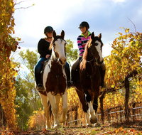 Billabong Ranch Adventure Park - Accommodation Rockhampton