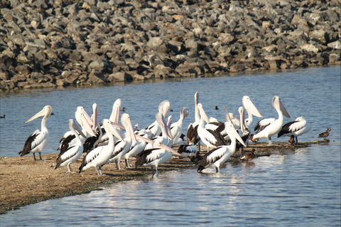 Bjelke-Petersen Dam - Accommodation Rockhampton 2