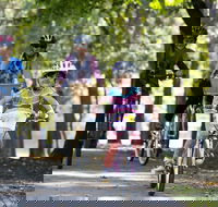 Bright to Wandiligong 5.5km - Accommodation Rockhampton