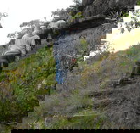Bundidgerry Walking Track - Accommodation Rockhampton