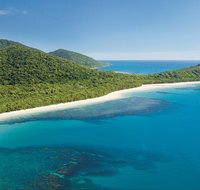 Cape Tribulation Daintree National Park - Accommodation Rockhampton