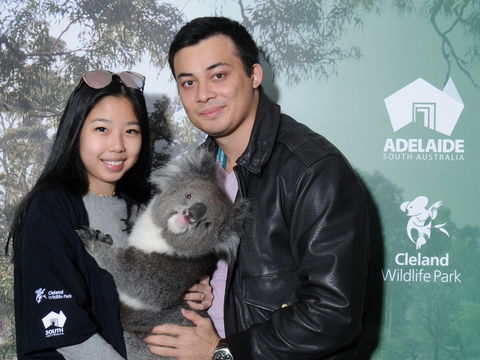 Cleland Wildlife Park - Koala Hold - Accommodation Rockhampton 0