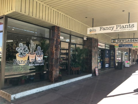 Fancy Plants - Accommodation Rockhampton 1