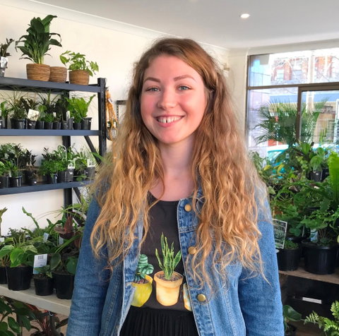 Fancy Plants - Accommodation Rockhampton 2