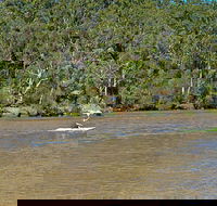 Fitzpatrick Park - Accommodation Rockhampton