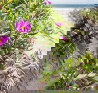 Fort Bribie - Accommodation Rockhampton
