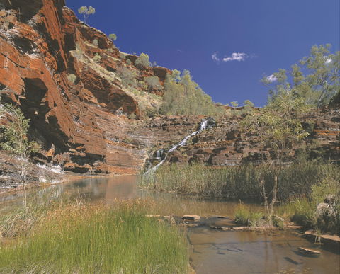 Fortescue Falls - Accommodation Rockhampton 1