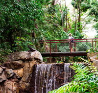 George Brown Darwin Botanic Gardens - Accommodation Rockhampton