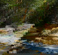 Jumrum Creek Walk Jumrum Creek Conservation Park - Accommodation Rockhampton