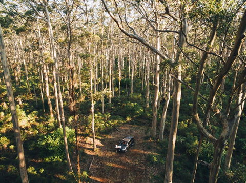 Leeuwin-Naturaliste National Park - Cowaramup - Accommodation Rockhampton 0