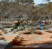 Mallee Stop walking track - Accommodation Rockhampton