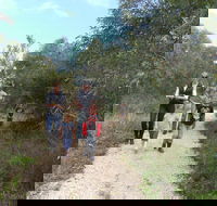 Meningie Lions Walking Trail - Accommodation Rockhampton