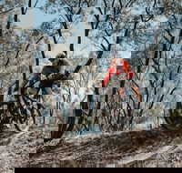 Mountain Bike Trails Deniliquin - Accommodation Rockhampton