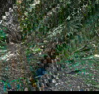 Pholis Gap Walking Track - Accommodation Rockhampton