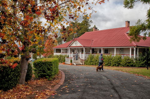 Ringsfield House, Nanango - Accommodation Rockhampton 1